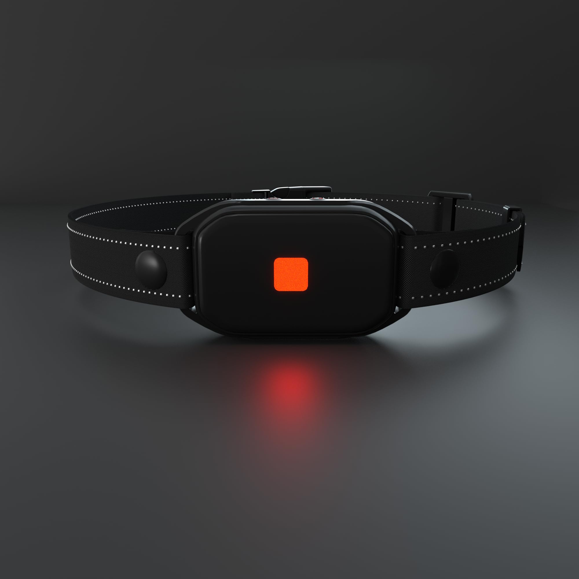 Meloive Collar de Perro,Collar Nylon Reflectante Impermeable,Duradero y Cómodo para Perros Pequeños,Medianos y Grandes,Negro
