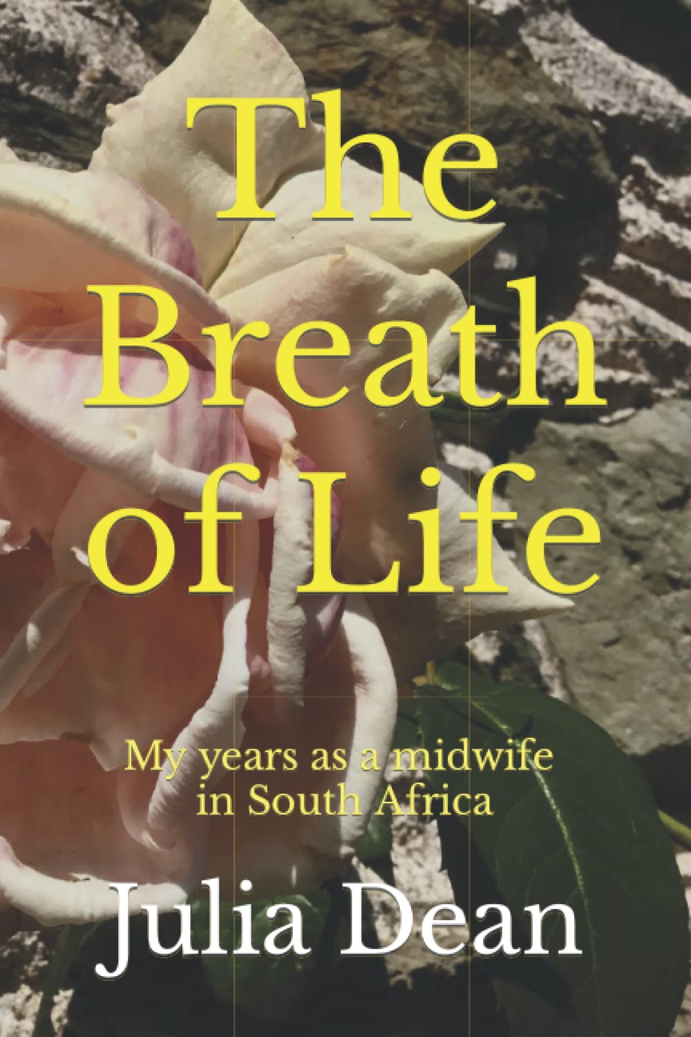 The Breath of Life: My years as a midwife in South Africa