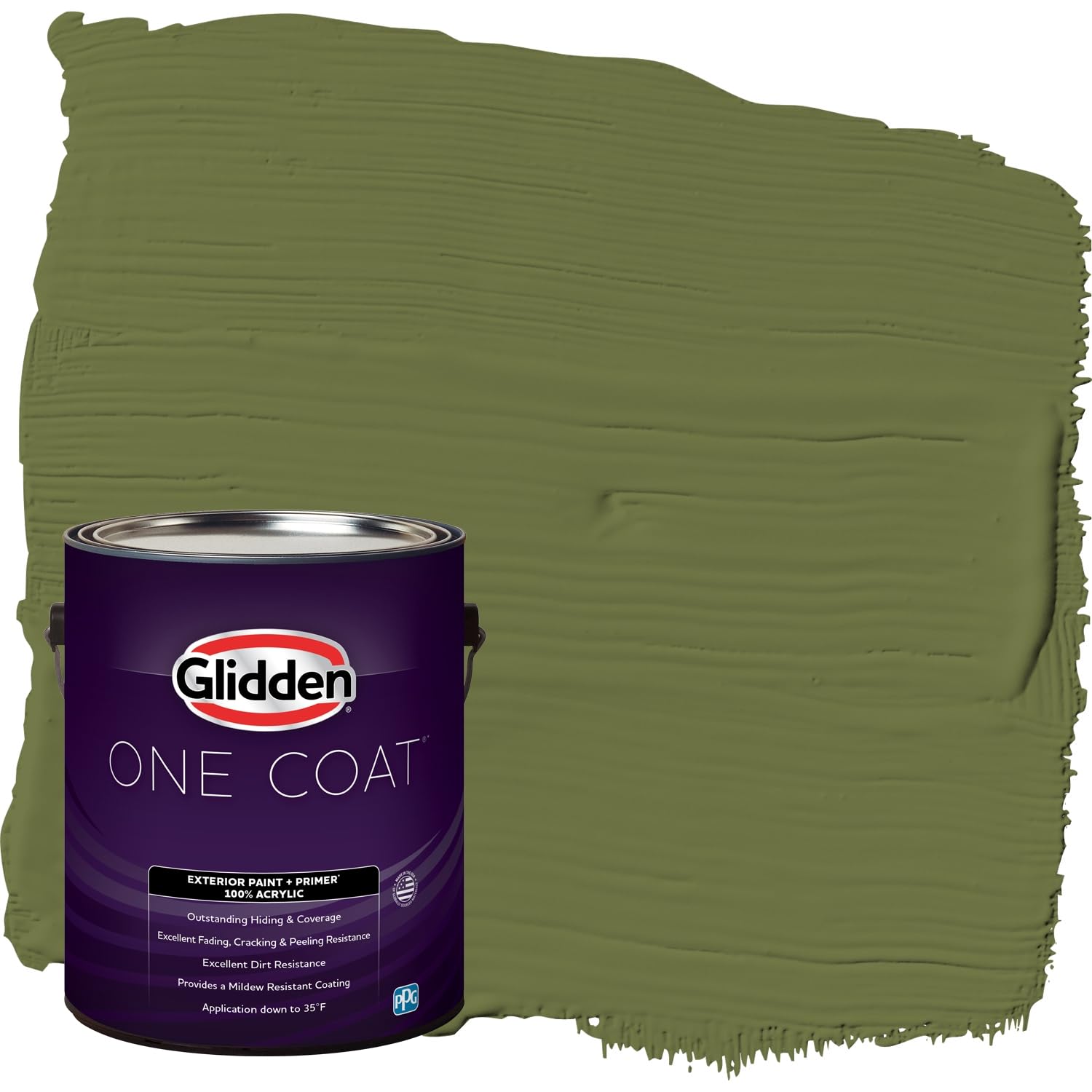 Glidden Exterior Paint + Primer