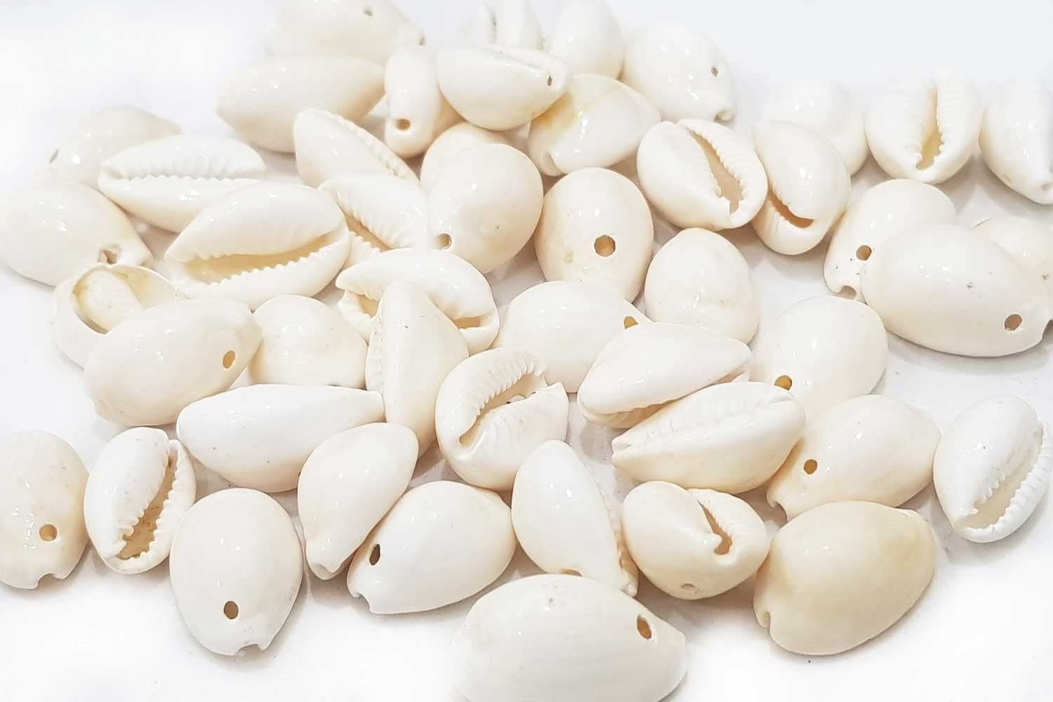 Mohan Shoppe Natural Single Drilled Hole Natural Cowrie Kauri Shell Beads for Adornment Beads/Jewlery Making, Package of 100 Gram (White) (B0BRSK5WGQ) Amazon Price History, Amazon Price Tracker