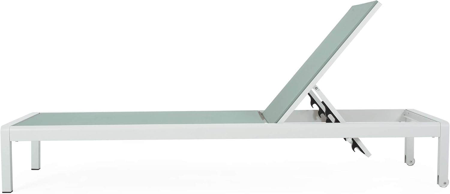 Christopher Knight Home Vanessa Coral Outdoor Chaise Lounges (Set of 2), Green and White