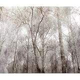 Gesamtformat: ca. 350x256 cm (BxH) - 7-Streifen, full HD Druck auf deutschem Vliesstoff; Unsere modernen Fototapeten sind in verschiedenen Größen und Mustern erhältlich