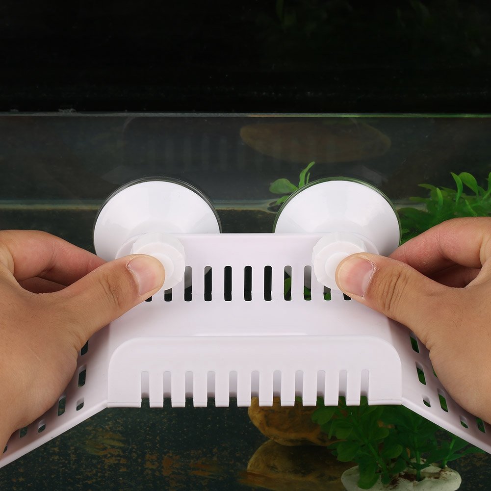 Plate-Forme Flottante pour Tortues de Reptiles avec Une Ventouse Forte Aquarium Animal Escalade Se prélasser au Repos Tortues Dock Jouets