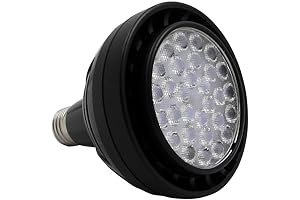 40 Watt Spot Jungle Dawn LED Terrarium Light Bulb