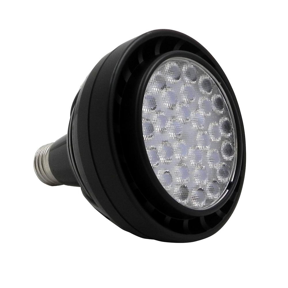 デュアルランド　Tropical 、Bayou セット デュアルランド Tropical 、Bayou セット Amazon.co.jp: PSA鑑定