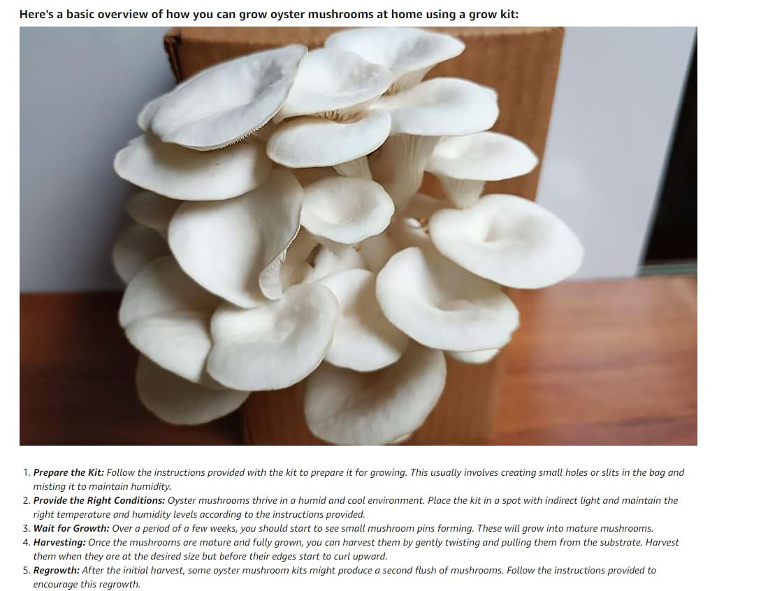 ARKO Oyster Mushroom Seeds Seed (200 per packet) (B0C3VXZVSM) Amazon Price History, Amazon Price Tracker
