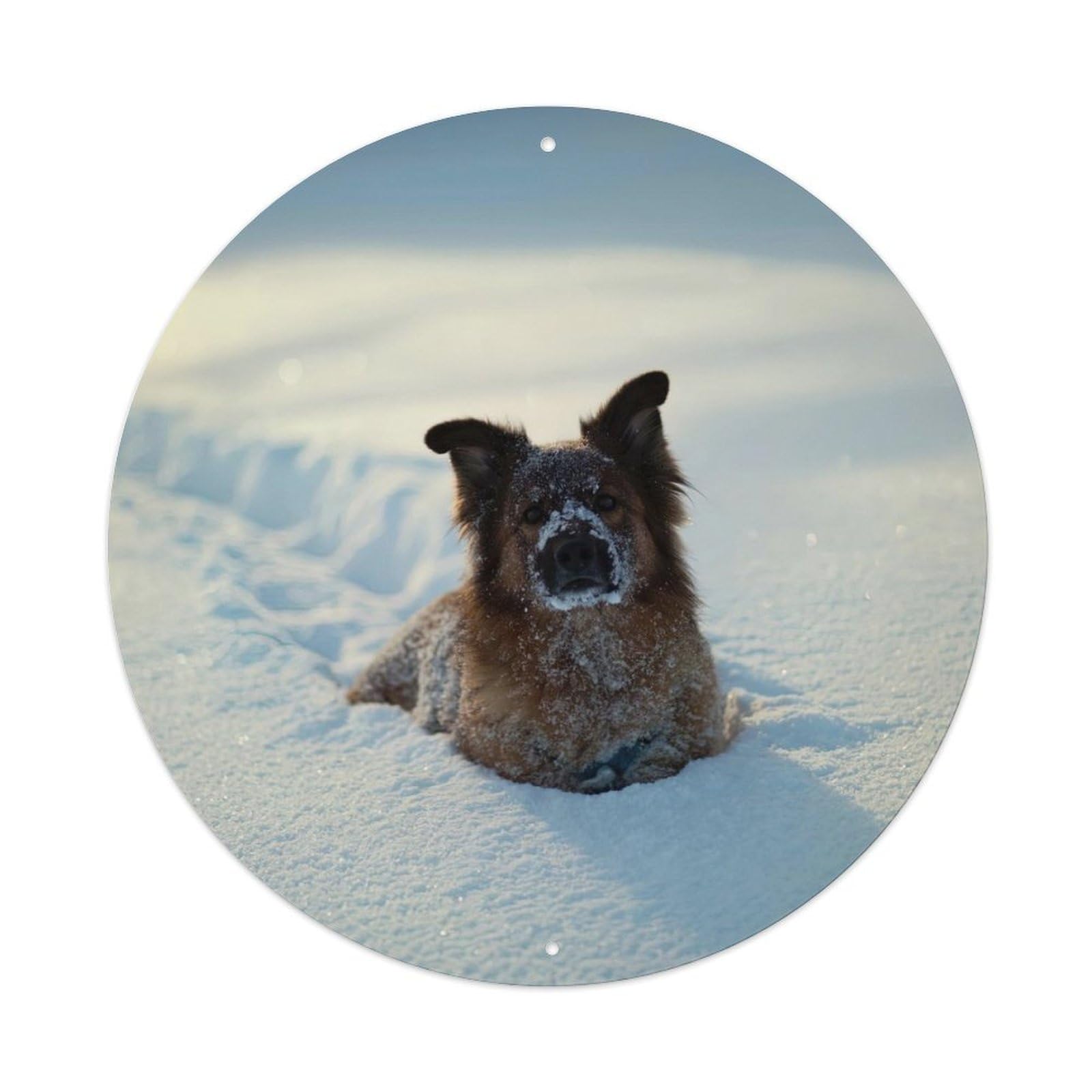 Cwbufd Vintage Style Animal Mixed Breed Dog Winter Snow Nordic Serene Scene Vintage Metal Tin Sign Plaque Wall Decor For Cafe, Club Bar, Office, Garden Metal Poster 8X8inch