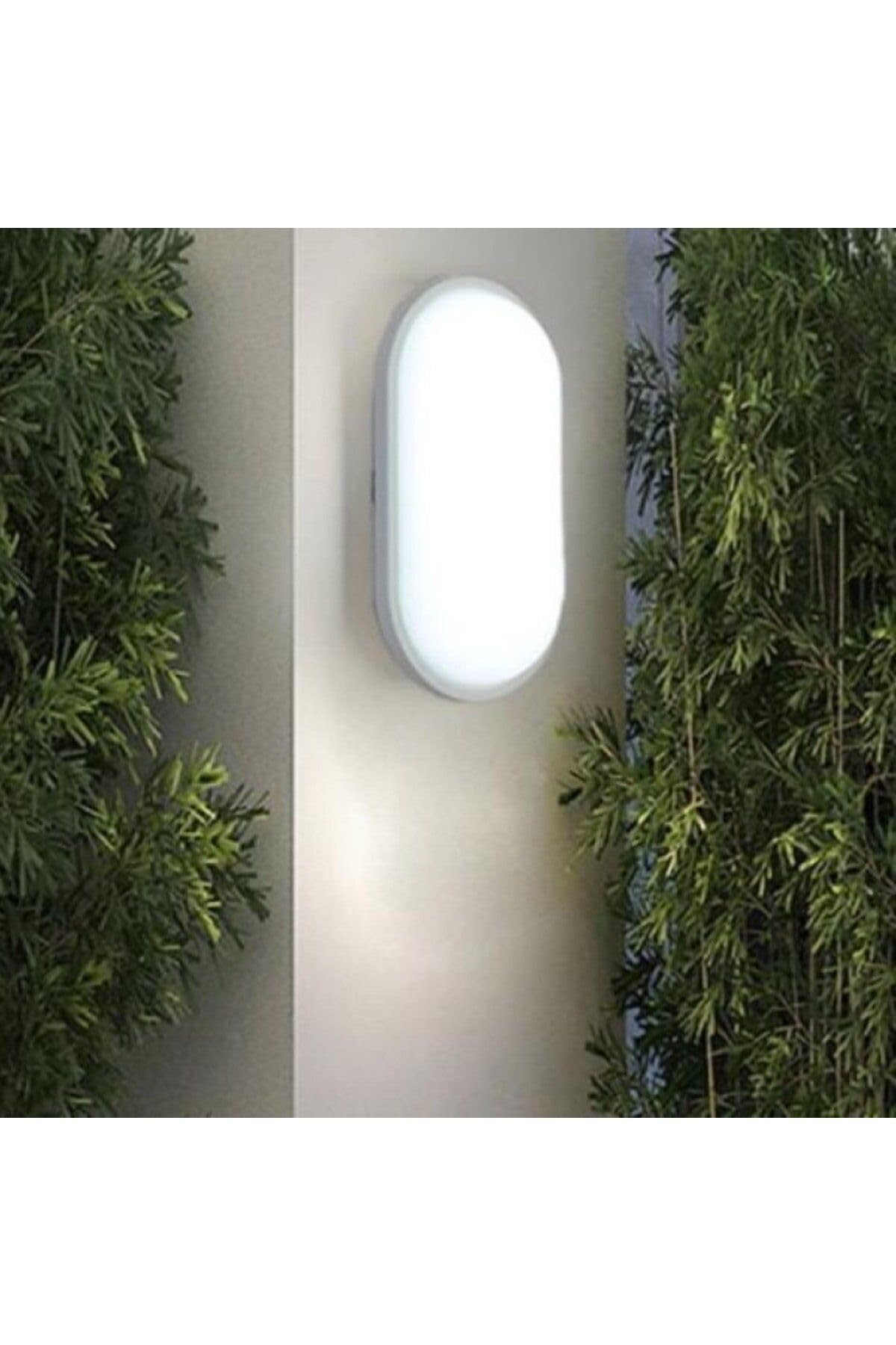 Ucuz Geldi Banyo Tavan Lambası Aydos 20W Oval Balkon Tavan Lambası 6400K Beyaz LED Işık Teras Duvar Lambası (Beyaz)