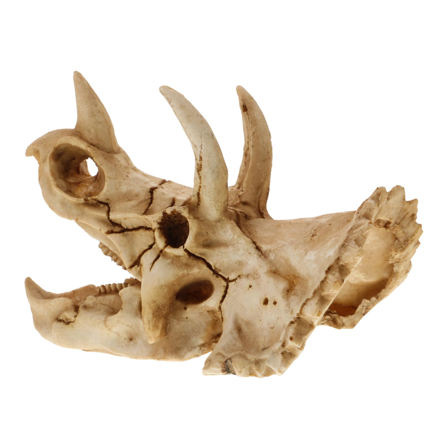 Dinosaur Skull Aquarium Decoration Resin Fish Tank Hideout for Reptiles Turtles and Aquatic Pets Unique Habitat Ornament for