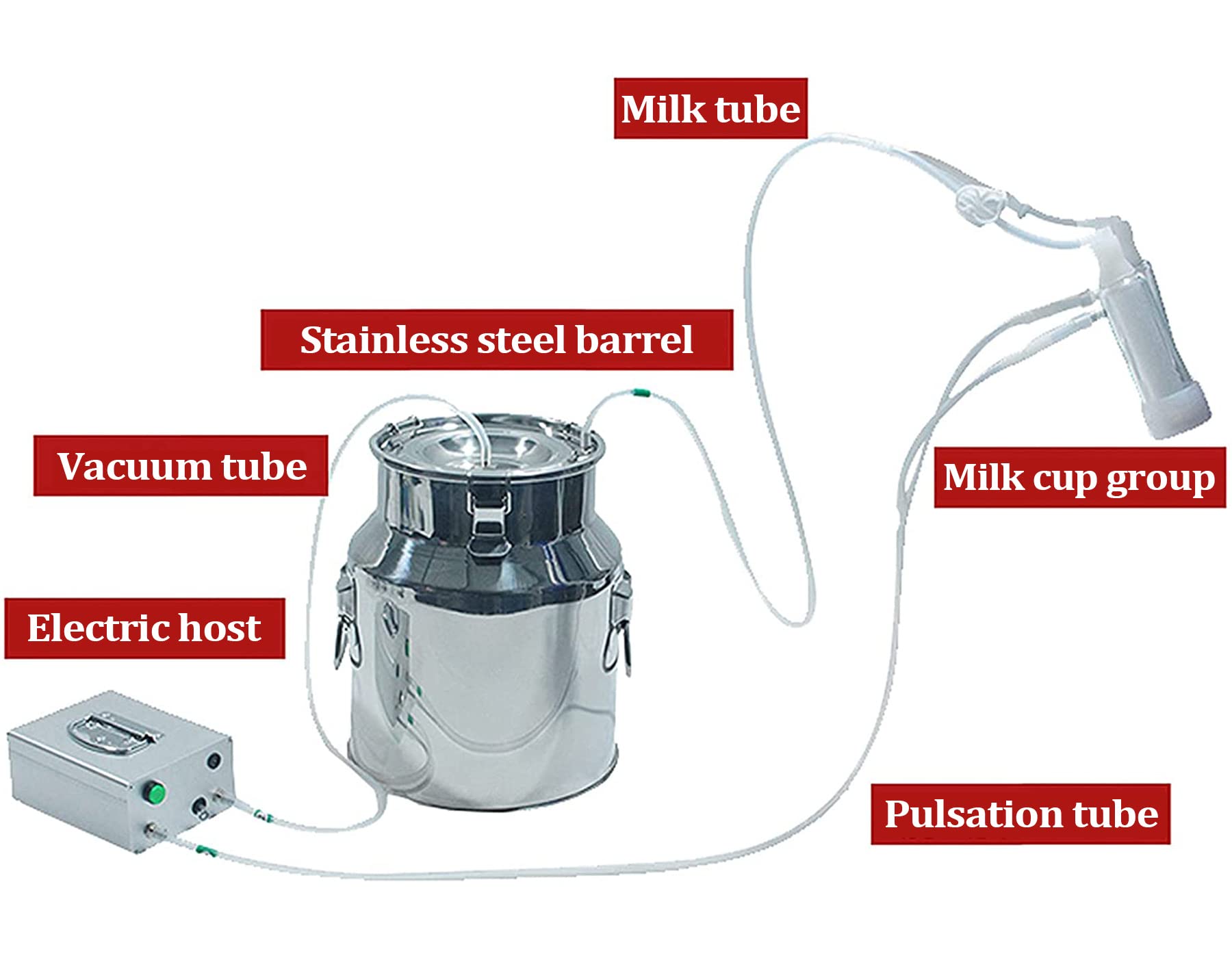 7L Machine à Traire Domicile, Électrique Portable Trayeuse Chevre | Machine à Traire Vache pour Usage Agricole et Domestique