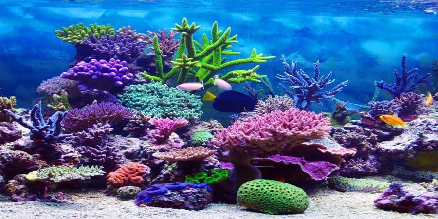 Image of YongFoto Ocean Theme Fish Tank Background 24x12 inch Coral Seaweed Reef Rock Tropical Fish Underwater Sea World Polyester Backdrop Reptile Habitat Terrarium Aquarium Background