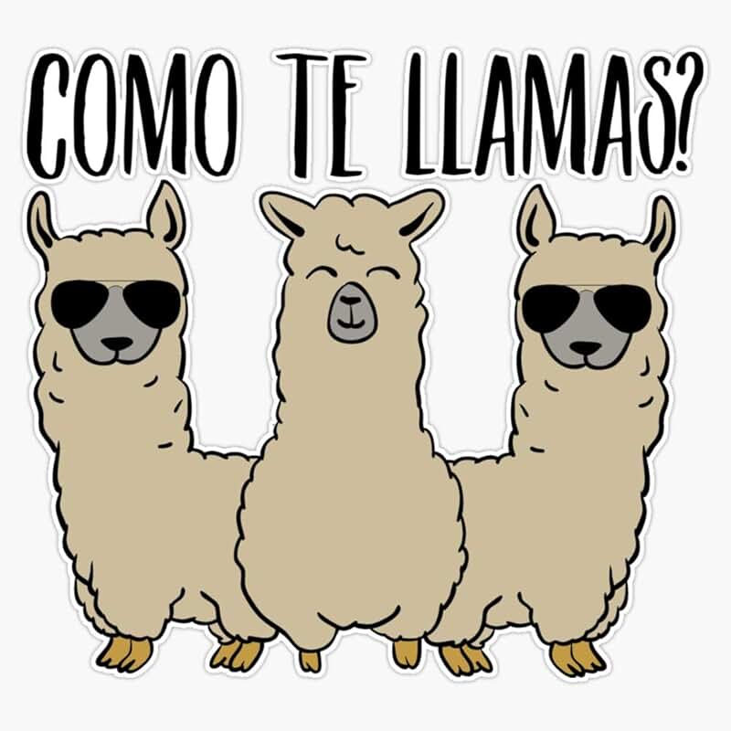 Te llama. Te llama. Worksheet llama. Te llama. Лама иллюстрация.