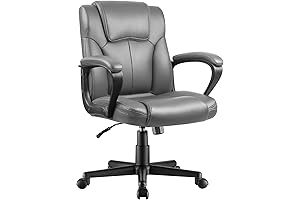 Ergonomic Grey Computer Chair with Lumbar Support