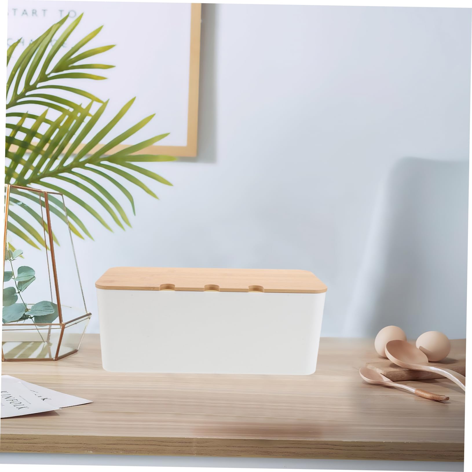 Caja Organizadora de Cables con Orificios para Escritorio, 1 Juego | Plástico y Madera, Diseño Simple y Moderno, para Oficina y Sala de Conferencias