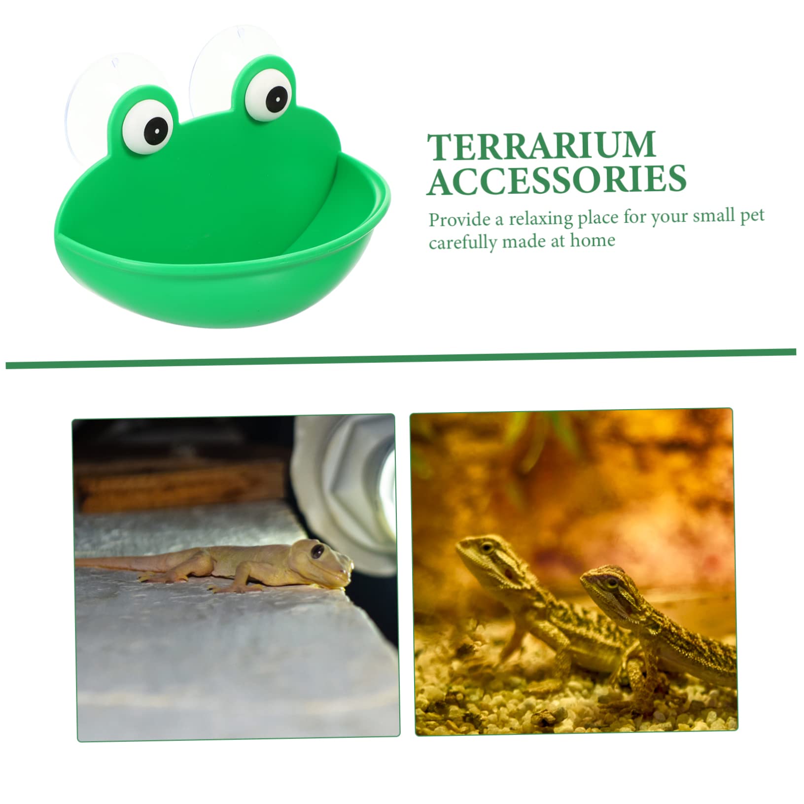 Beaupretty 6piezas Plataforma Decorativa para Terrario De Reptiles De Descanso y Alimentación para Mascotas Accesorios Multifuncionales para Decoración De Terrarios