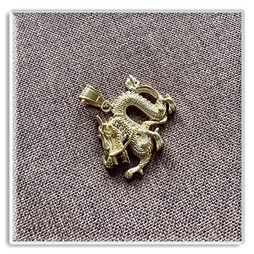 Xusamss Punk Rock Titanium Steel Dragon Pendant Necklace,22inches Link Chain2