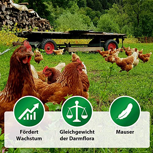 Röhnfried Bierhefe Pro 1500g I B-Vitamine, Aminosäuren, Mineralien & Spurenelemente I ideal während der Aufzucht & Mauser