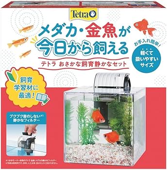 水槽と全てセット(東京取りに来てくれる方限定) Amazon | DrivEx 水槽 アクアリウム スターターキット 一体型水槽