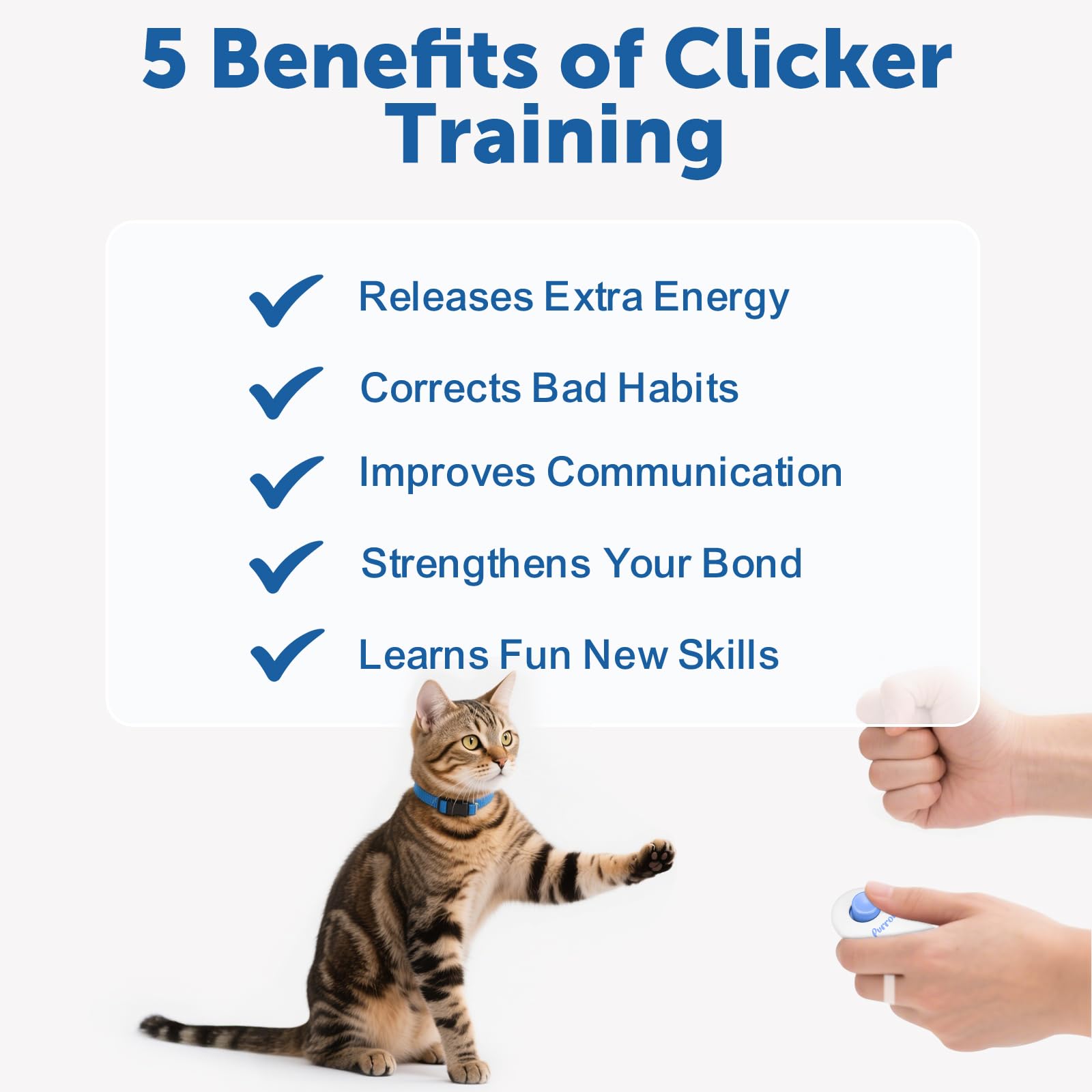 Cat Training Clicker Kit – Includes Finger Clicker and Target Stick – Perfect for Positive Reinforcement, Behavior & Obedience Training Indoors & Outdoors – Suitable for Dogs, Birds & Small Pets - image 6
