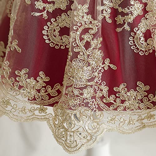 Image of HNXDYY Little Girls Princess Dress Girls Fancy Party Costume