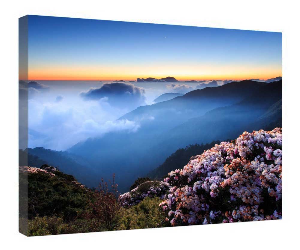 Lienzo decorativo de flores y montañas para crear un ambiente relajante en tu salón 4