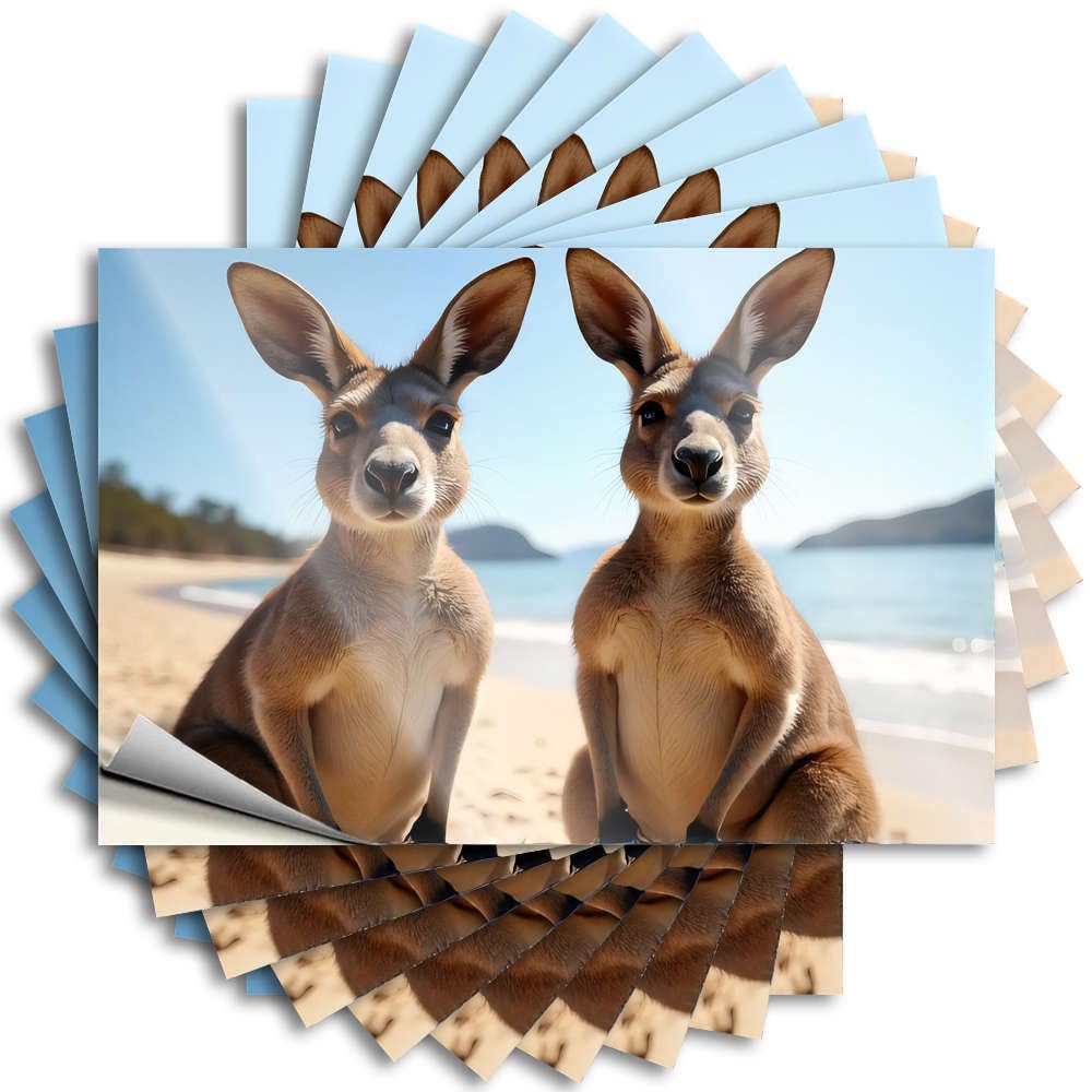 Fzfn Boys Colour Two Kangaroos Sitting On A Beach Bumper Room Decor | Western Window Removable Decal Pack(12X18cm)