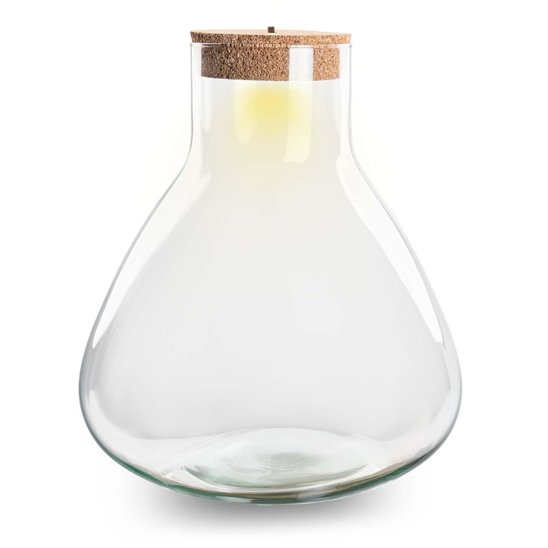urbanjngl - Terrariumflasche 'Sam XL' - Geschlossenes Terrarium mit LED-Korken, Ø 30 cm, Höhe 32 cm, ideal für Pflanzen und Dekoration, modernes Design für Ihr Zuhause.