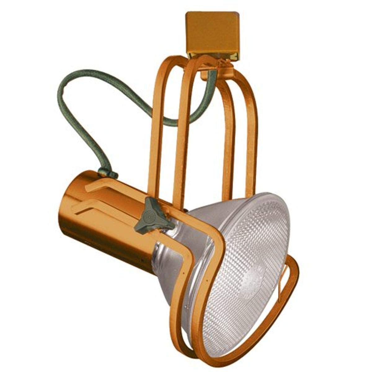 Elco Lighting ET654CP LINE Voltage PAR38 Wireform Fixture