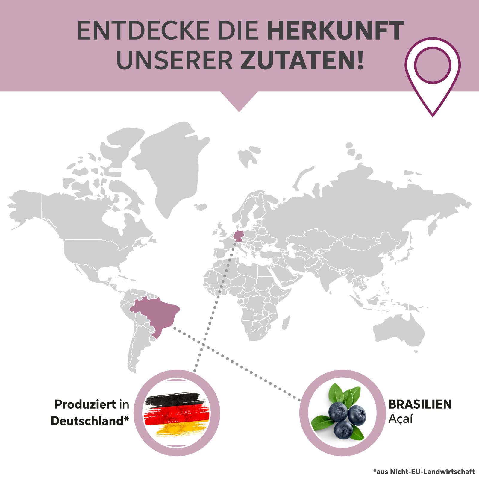 Acai Tabletten 2000 Presslinge | Hochdosiert 5000mg Tagesdosis | Rohkost 100% reine 250mg Tabs | 100% rein ohne Zusatzstoffe in Premiumqualität