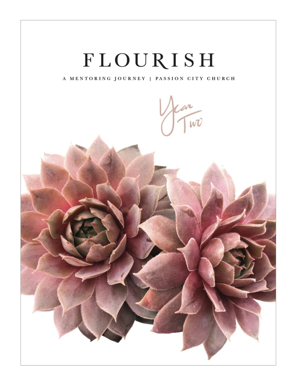 FLOURISH: A Mentoring Journey: Year Two