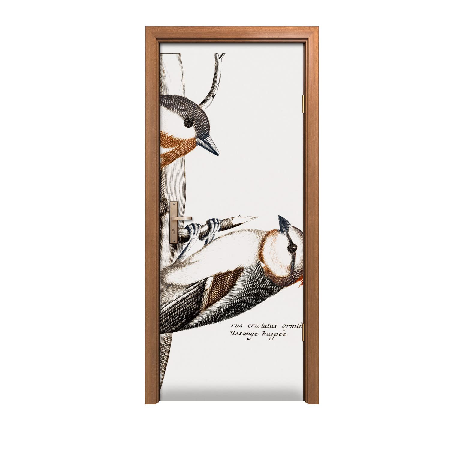 Autocollant de porte pour cacher une porte abîmée motif oiseaux