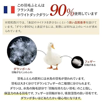寒い冬に　格安　【未使用】【日本製】フランスシルバーダック　羽毛掛け布団 楽天市場】フランス産シルバーダックダウン 90の通販