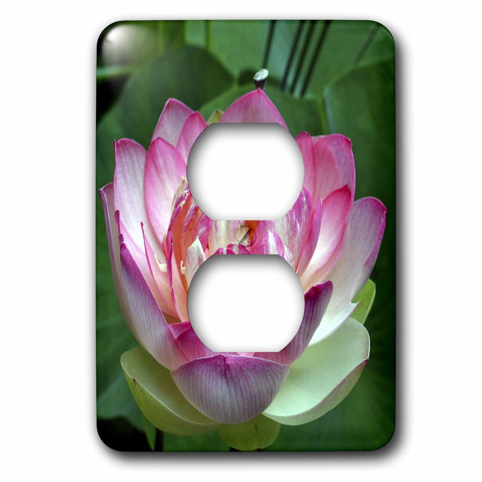 Belle fleur de lotus plaque 2 prises murales 3dRose lsp_53634_6 décorative pour interrupteur