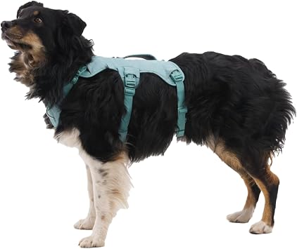 Ruffwear, Web Master Dog Body Harness, Blaze Orange, X-Small