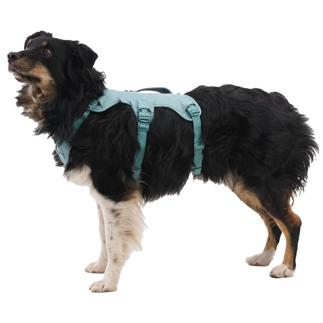 Foto 4 de 8 de Ruffwear Web Master - Arnés para Perro, arnés Frontal en Y para Perro con asa y Hebilla Mejorada, Ajustable…