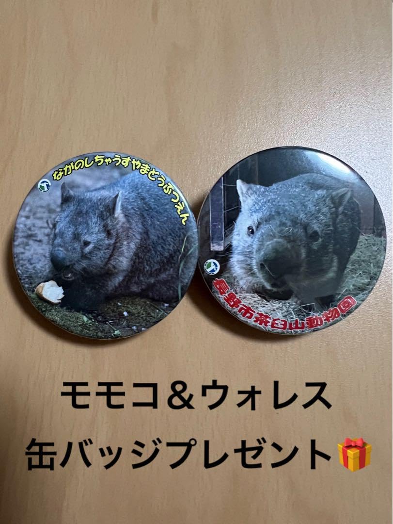 Amazon.co.jp: 茶臼山動物園 ウォンバット ぬいぐるみ トートバック 