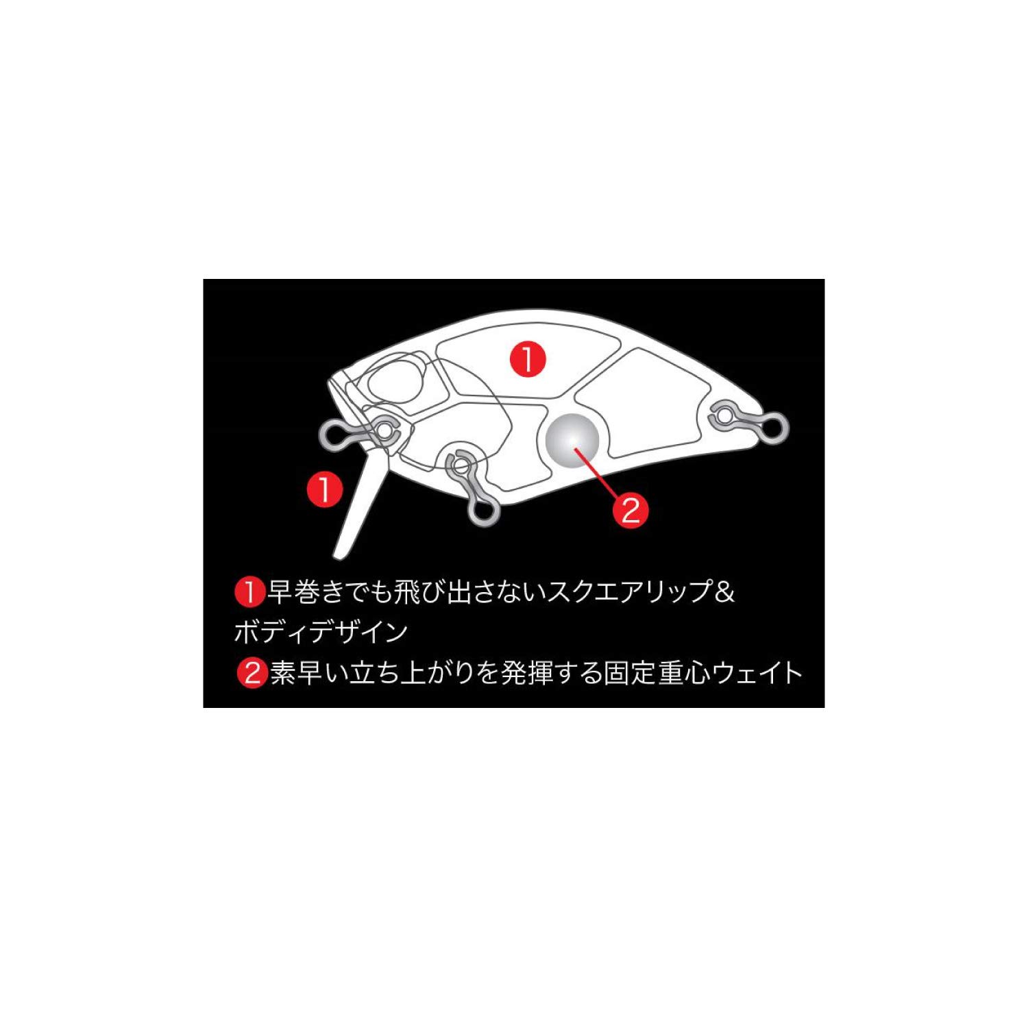 Amazon | デュオ(Duo) ﾚｱﾘｽ ｸﾗﾝｸ50SSR ｶﾌﾞｷ CCC3004 ﾏｯﾄﾌﾞﾙｰﾊﾞｯｸﾁｬｰﾄ