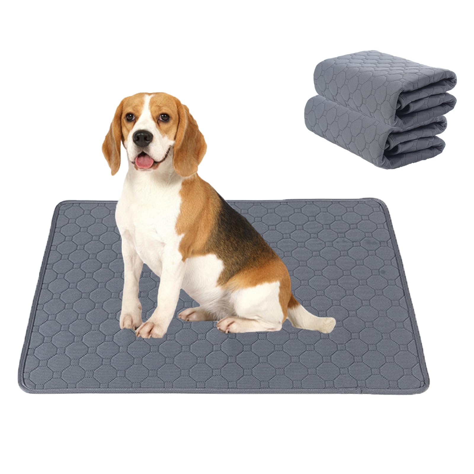 Washable Dog Mat Pee Pads, 2 Pack Reusable Dog Training Pads, Instant Water Absorbent Waterproof Dog Urine Mat