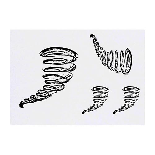 Azeeda 4 tatuajes temporales 'Tornado' (TO00007607)