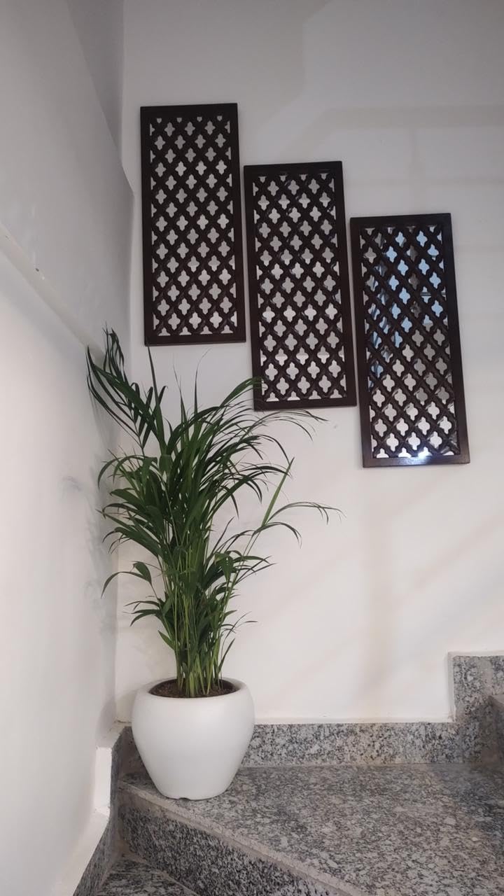 Buy TIMBERLY Wall Mirror Decor Panel Wooden Hanging Jharokha ...