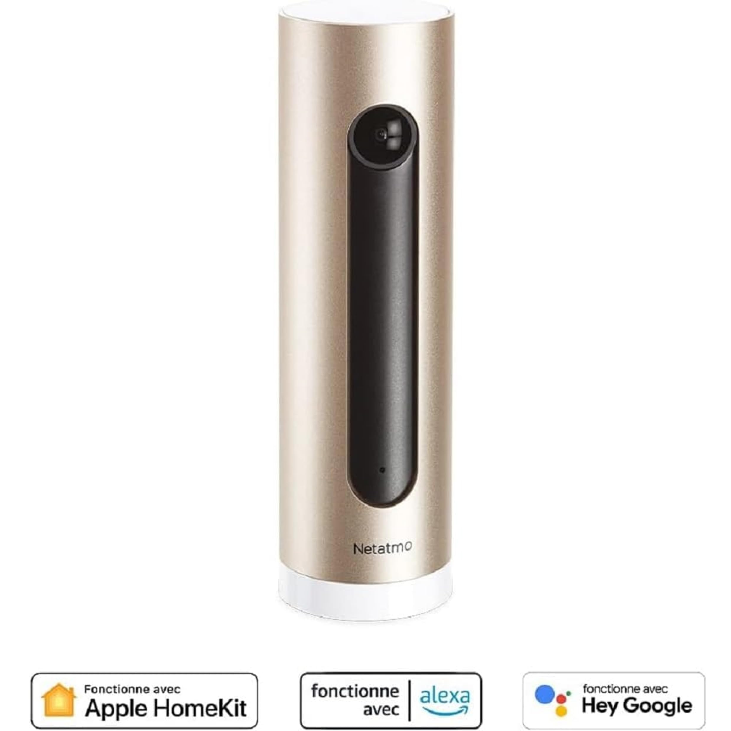 Netatmo NSC-PRO Caméra Intérieure Intelligente et connectée avec reconnaissance faciale et alerte sur smartphone,1080p, alu/or