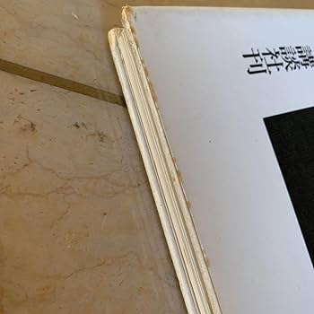 味戸ケイコ画集　かなしいひかり　初版本 Amazon.co.jp: 味戸ケイコ画集 かなしいひかり 初版本 : おもちゃ