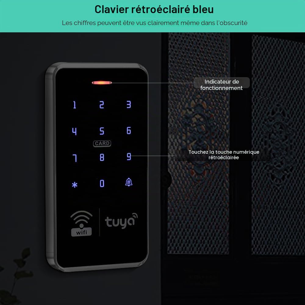 Tuya Contrôleur d'accès WiFi intelligent double bande avec clavier RFID étanche IP68, prend en charge 1000 utilisateurs, 10 125 kHz + 10 porte-clés 13,56 MHz