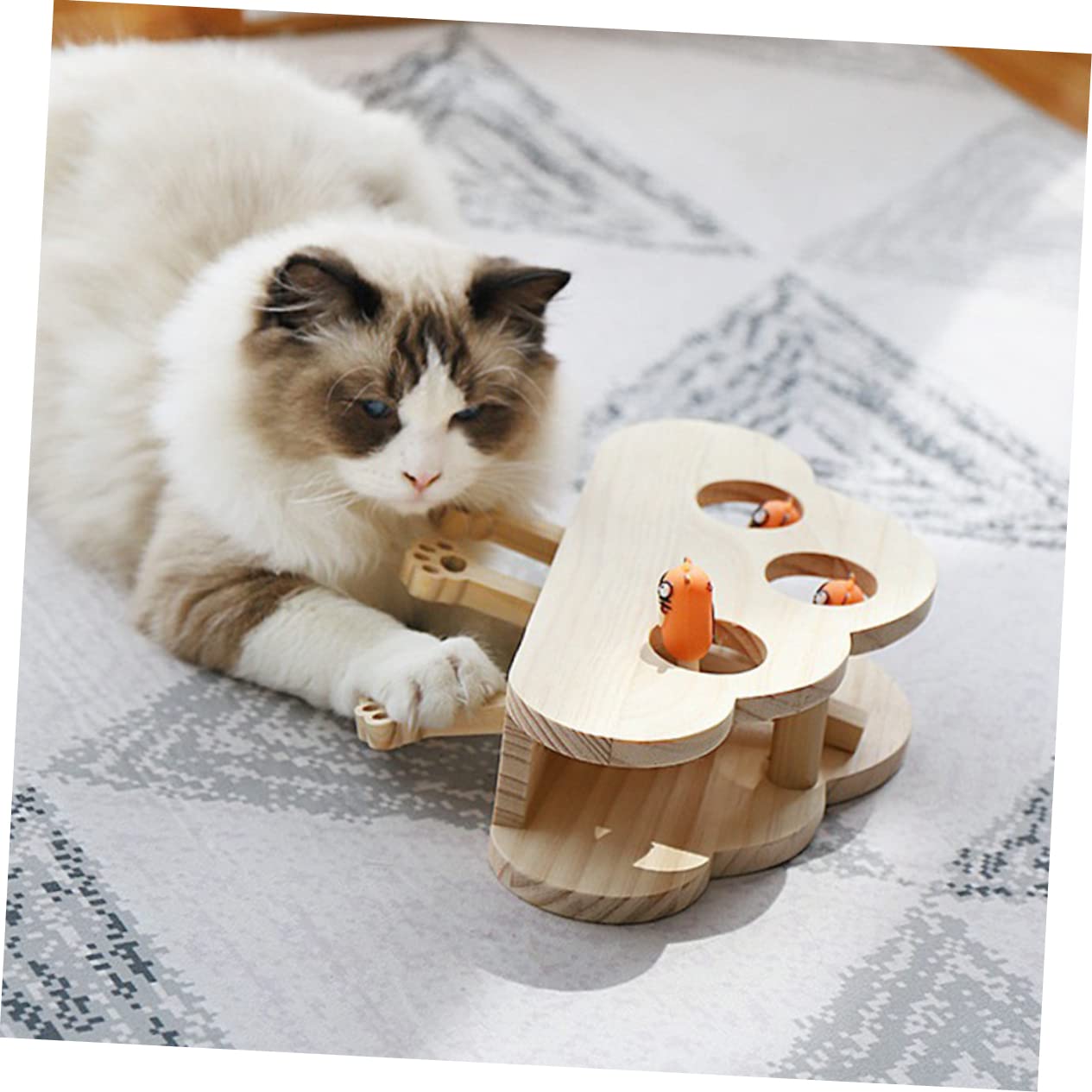 Sosoport Holz Katzenspielzeug Interaktiv Mit Katzenminze Pädagogisch Lustiges Fangspiel Für Haustiere