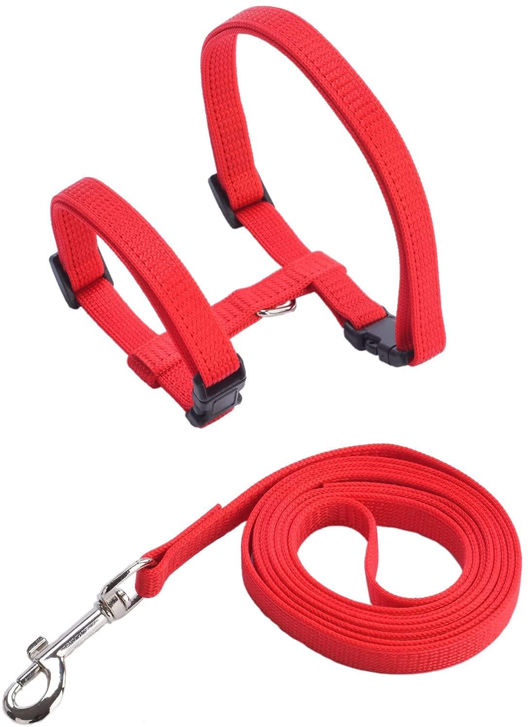 Cat Harness and Leash Set - Escape Proof Adjustable Cat Harness, Comfortable Soft Lightweight, Use Safe & Easy, Walking Travel Kitten Harness for Small Medium Large Cats-image-36