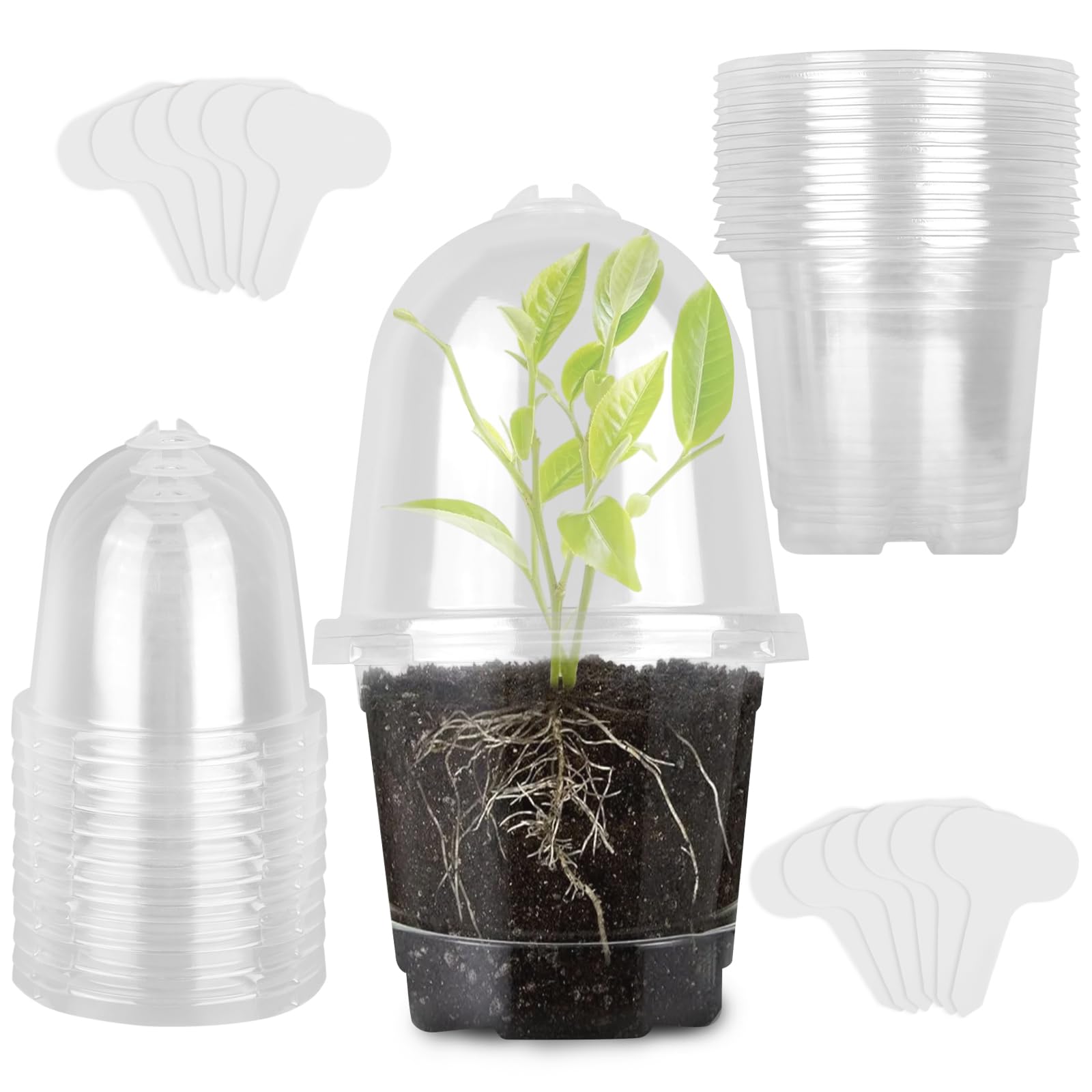 30Pezzi Vasi da Vivaio Trasparenti con Cupola di Umidità, 10cm Vasi da Fiori in Plastica con 10 Etichette e Fori di Scarico per Succulente, Semi, Piantine, Vasetti per Piantine La Semi Semina