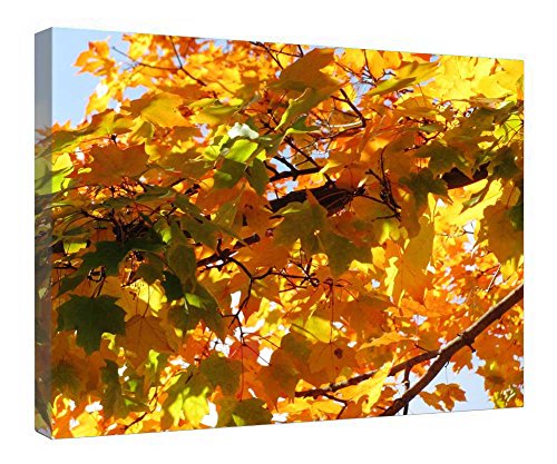 Toile Golden Autumn encadrée pour habiller un mur vide sans effort d'assemblage