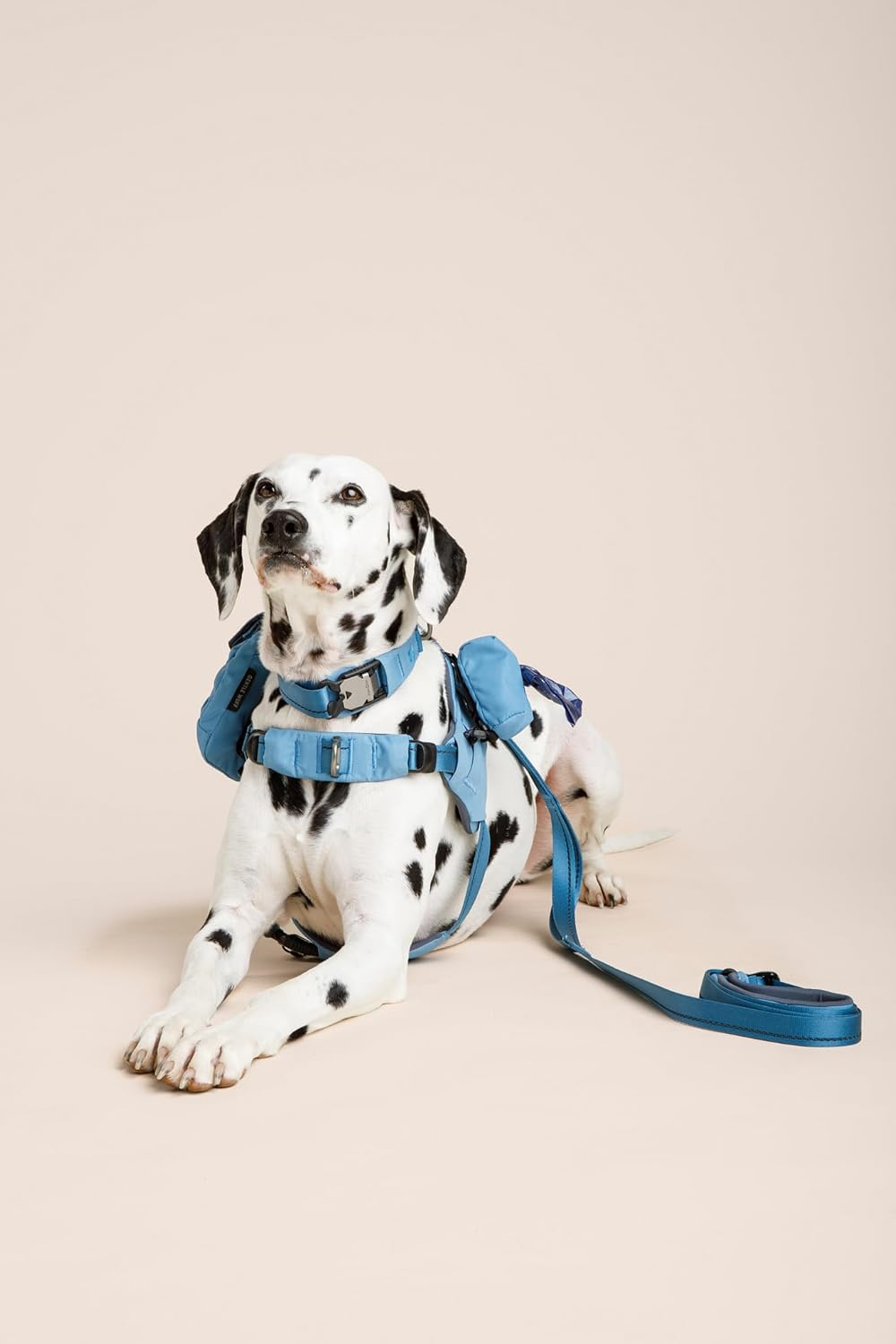 Ready-Go Leash – Adjustable Dog Leash with Convertible Length Hardware, Padded Handle & Recycled Nylon Webbing for Everyday Walks, Training & Hands-Free Carry (Coast)