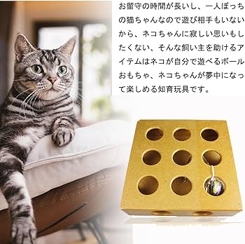 【CD】猫も杓子もツイスト(250903) CD】猫も杓子もツイスト(250903) Amazon.co.jp: 猫も杓子も