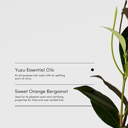 Miniatura 5 de LATHER Yuzu Bergamota Crème Rinse  Acondicionador de aceites esenciales  Acondicionador con yuzu y bergamota  Acondicionador natural  Productos para